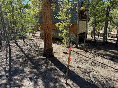341 Aspen Drive Leadville CO 80461