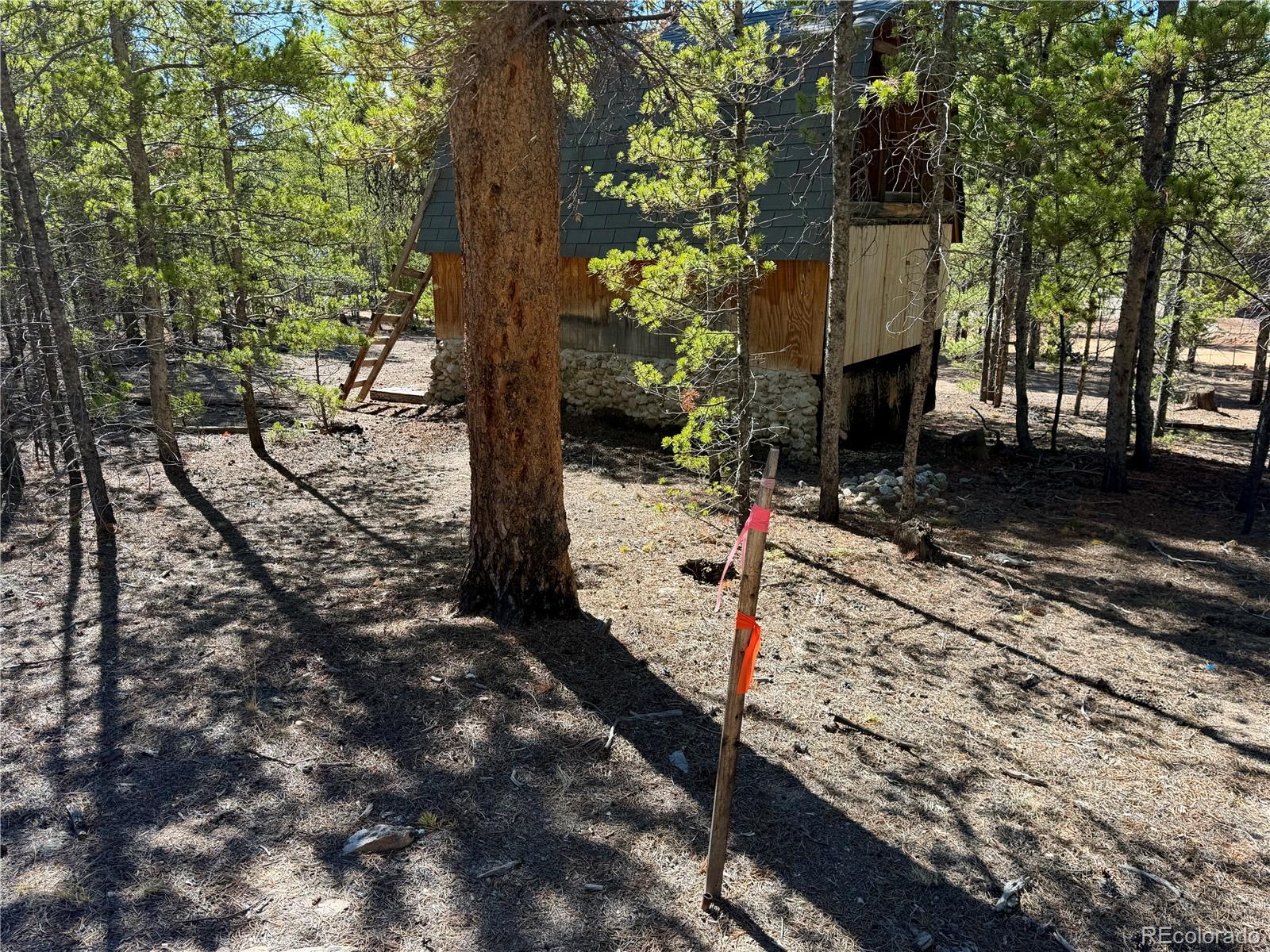 341 Aspen Drive Leadville CO 80461