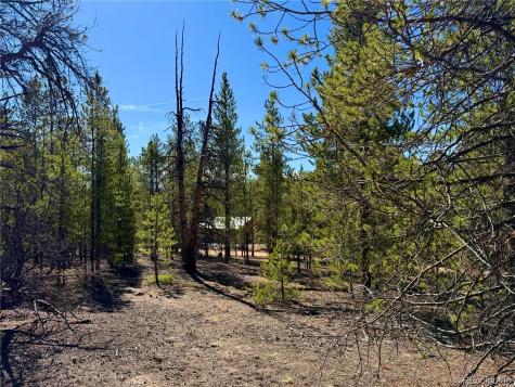 341 Aspen Drive Leadville CO 80461