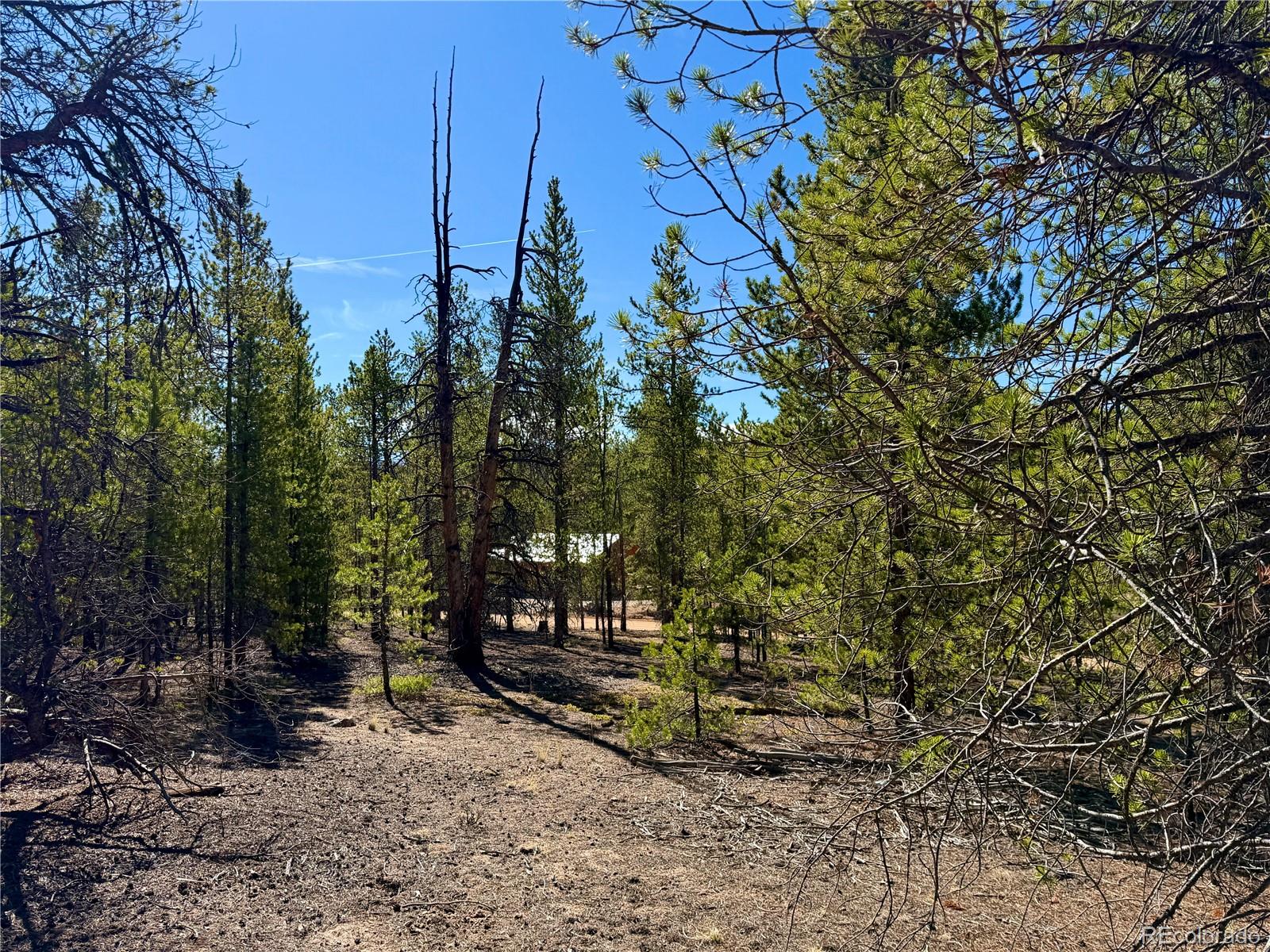 341 Aspen Drive Leadville CO 80461