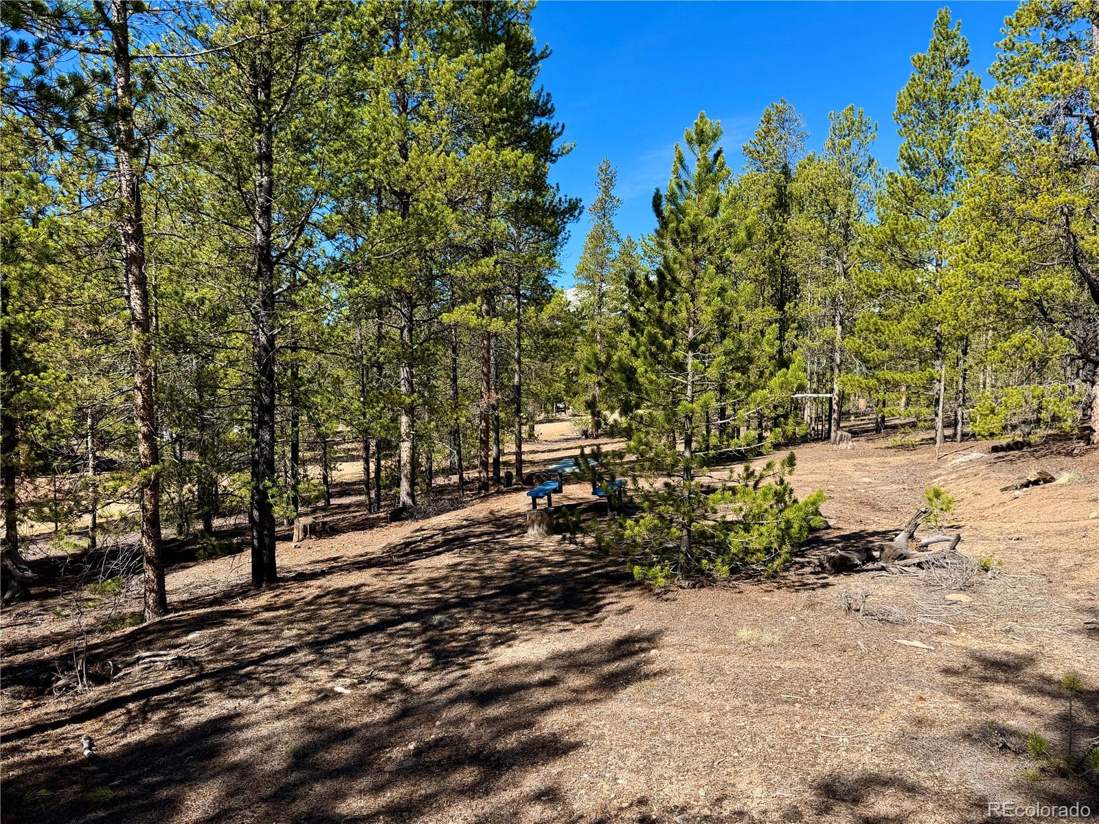 341 Aspen Drive Leadville CO 80461