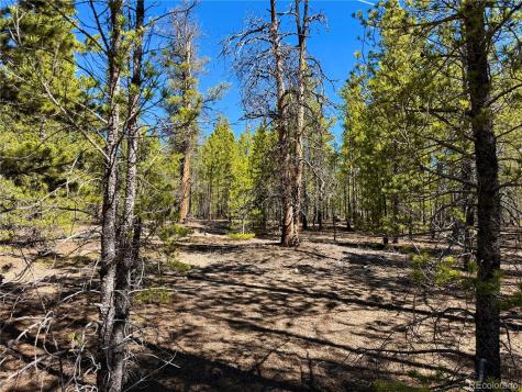 341 Aspen Drive Leadville CO 80461