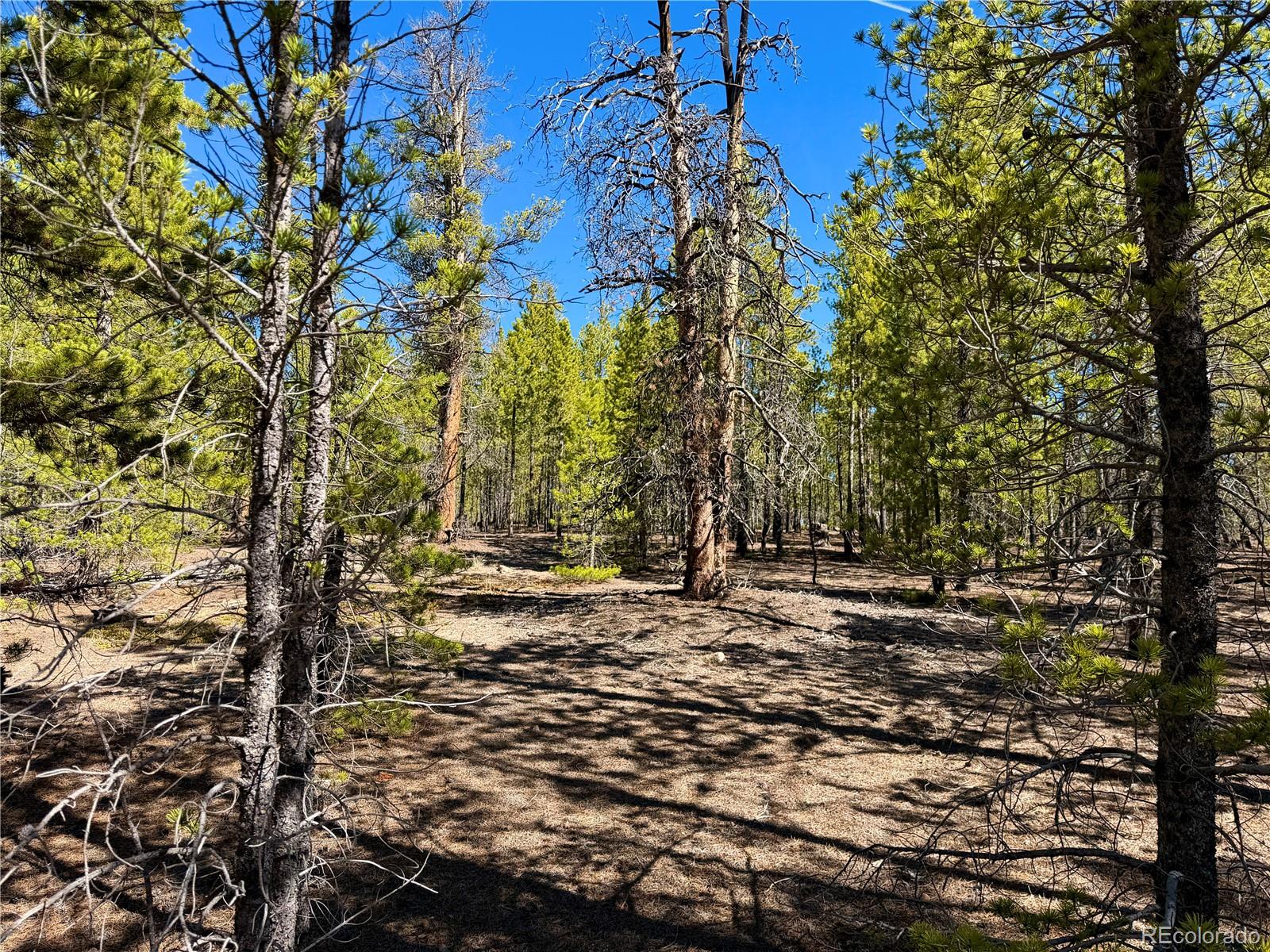 341 Aspen Drive Leadville CO 80461