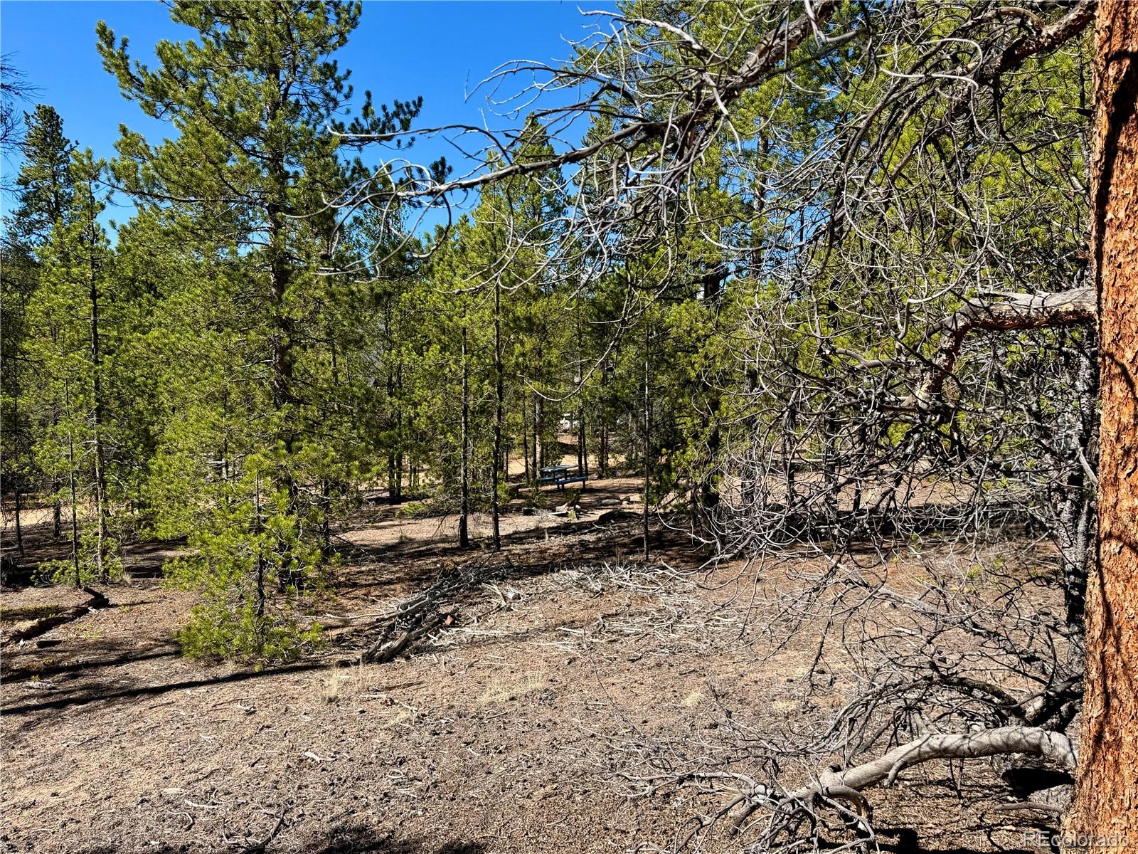 341 Aspen Drive Leadville CO 80461