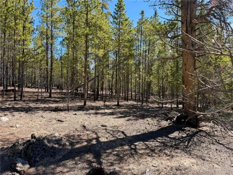 341 Aspen Drive Leadville CO 80461
