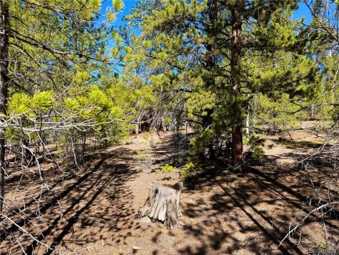 341 Aspen Drive Leadville CO 80461