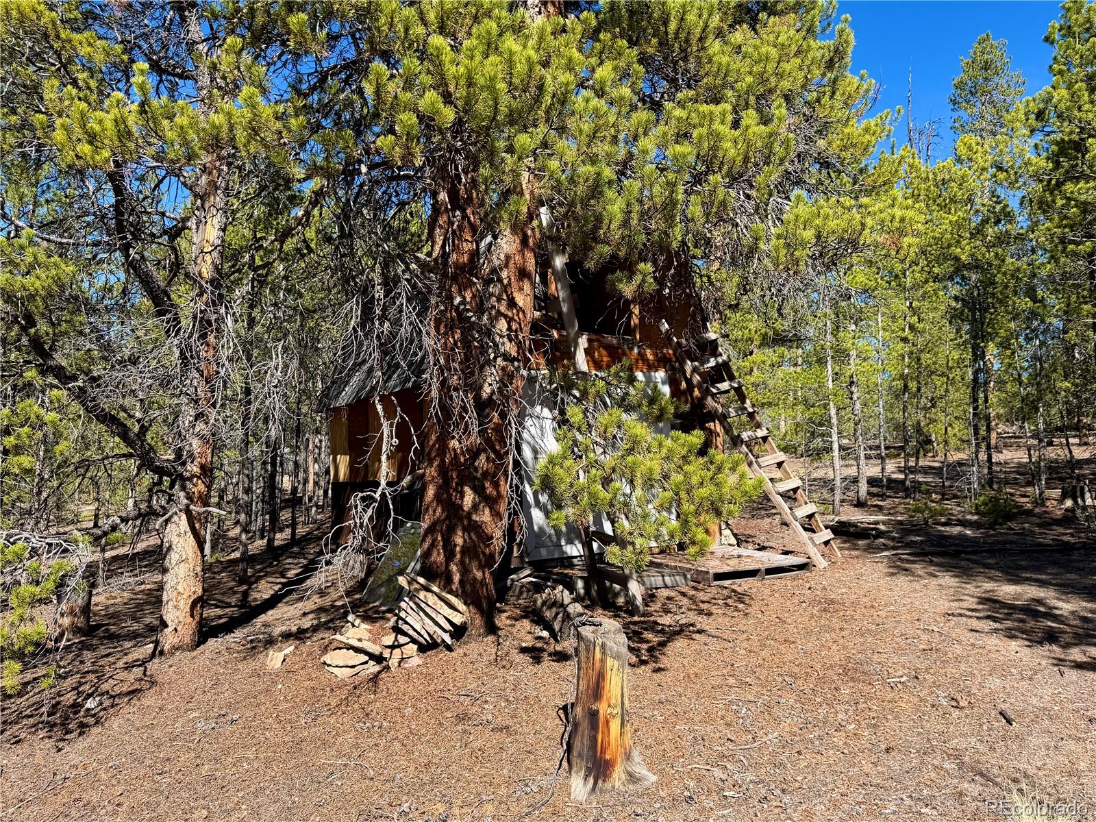 341 Aspen Drive Leadville CO 80461