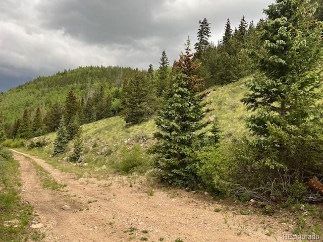 6650 Forbes Road Fort Garland CO 81133