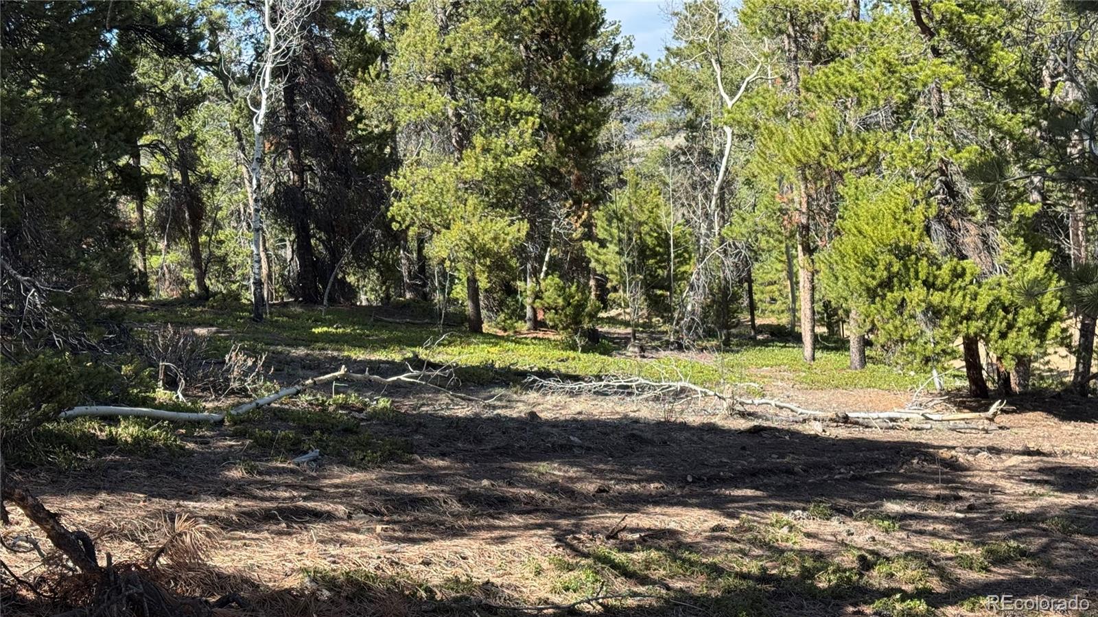 005 Church Placer Road Central City CO 80427