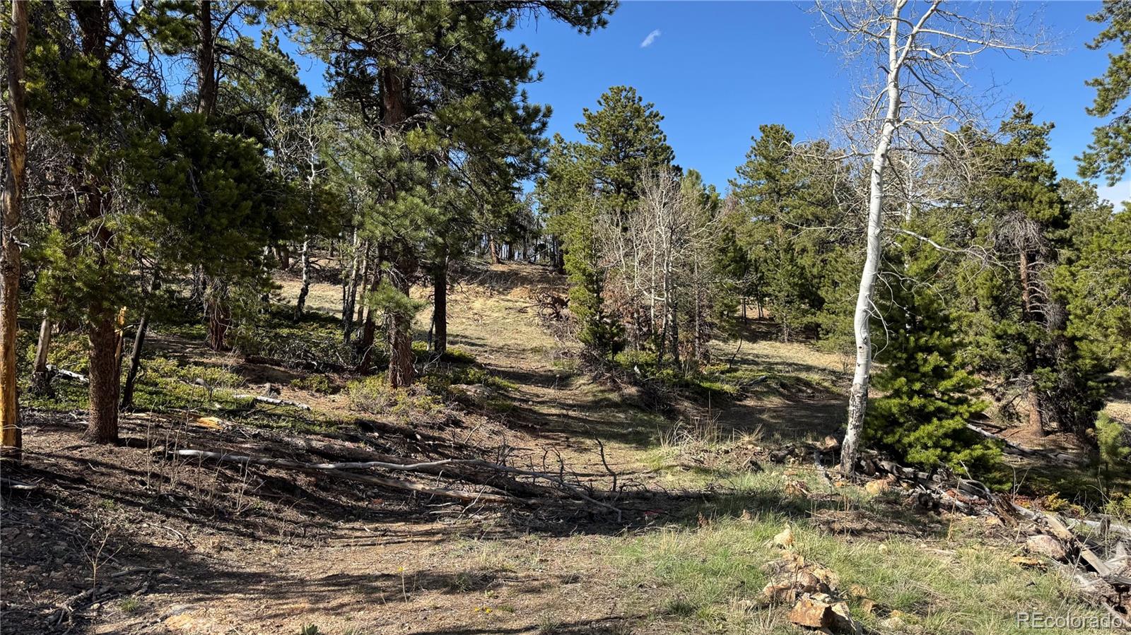 005 Church Placer Road Central City CO 80427