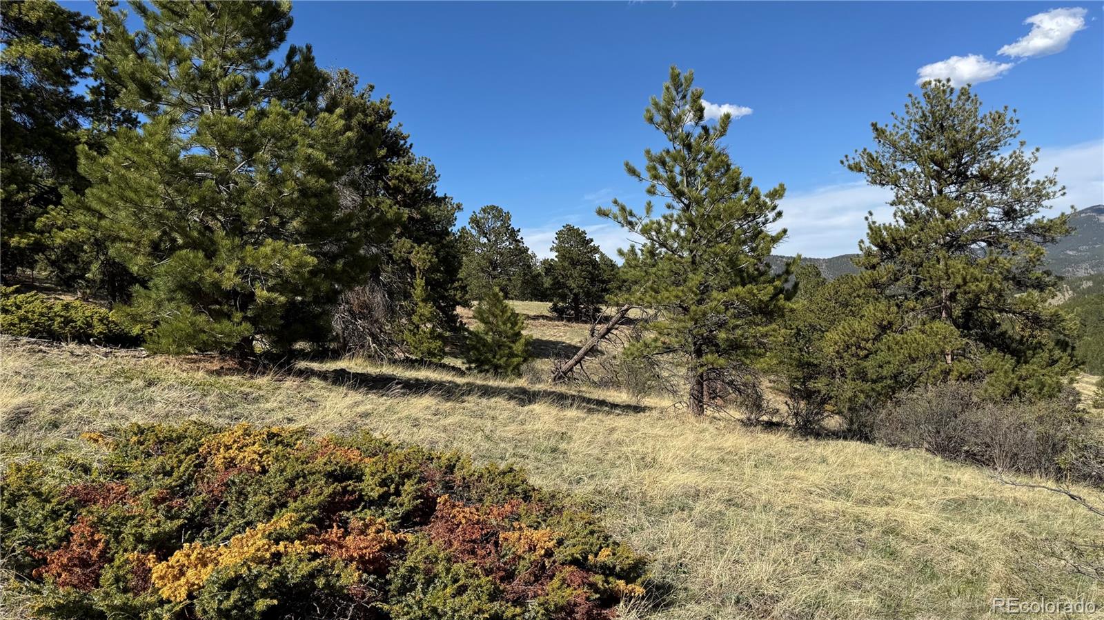 005 Church Placer Road Central City CO 80427