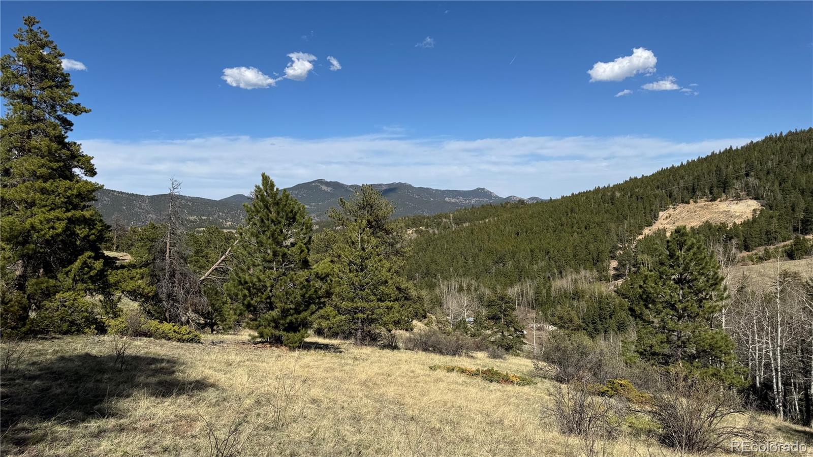 005 Church Placer Road Central City CO 80427