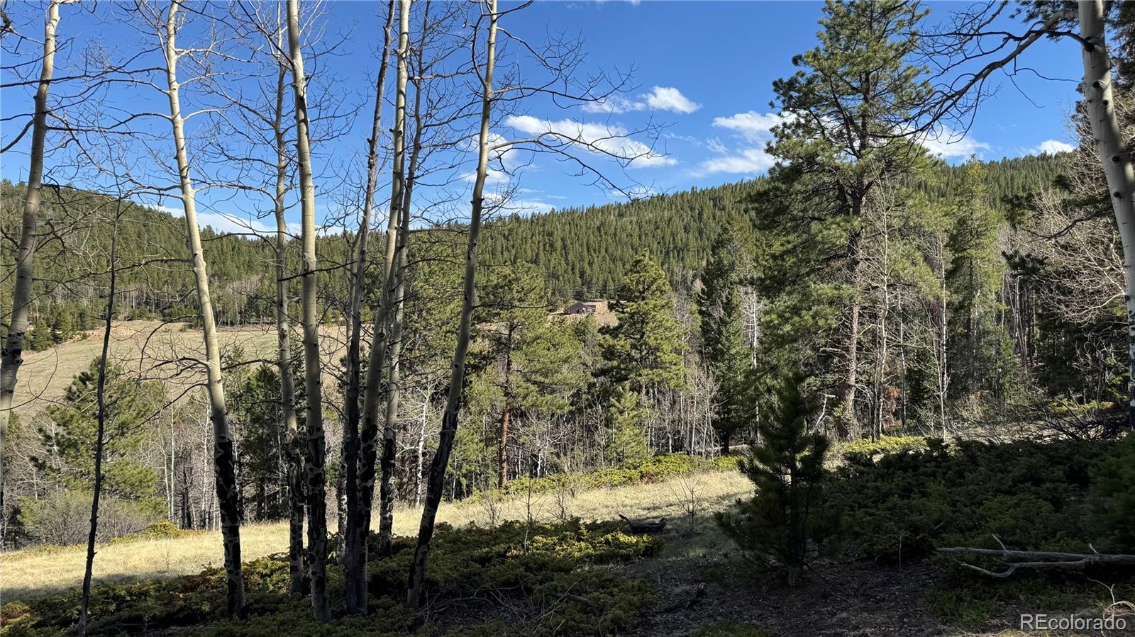005 Church Placer Road Central City CO 80427