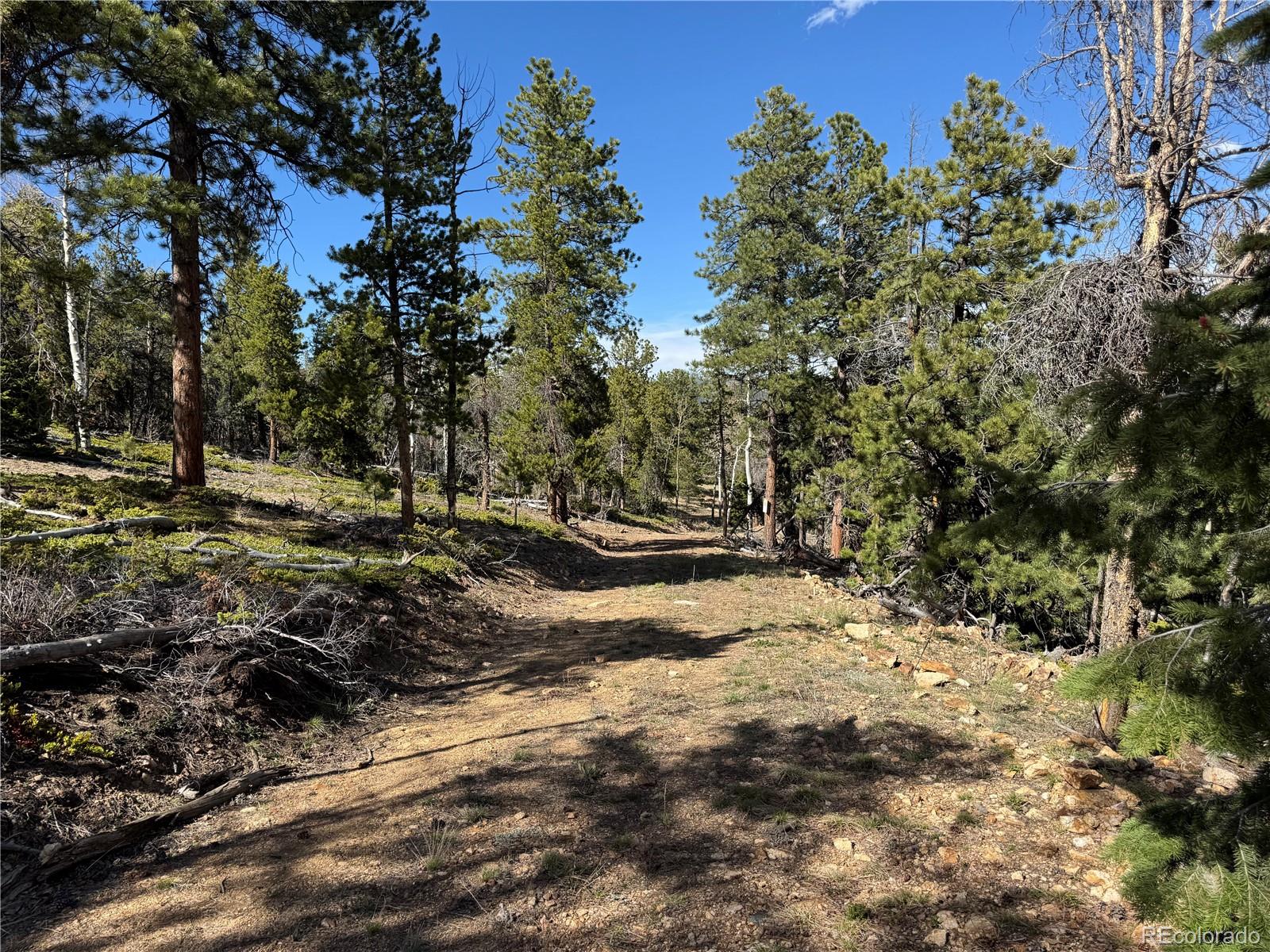 005 Church Placer Road Central City CO 80427