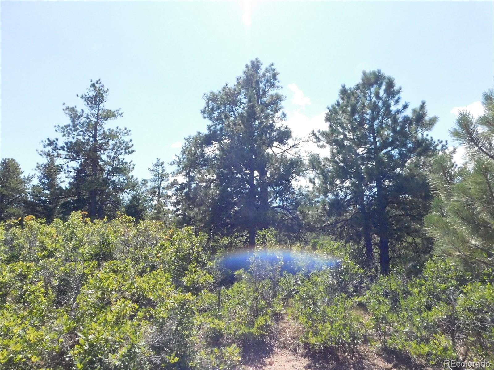 6344 Troon Court Larkspur CO 80118