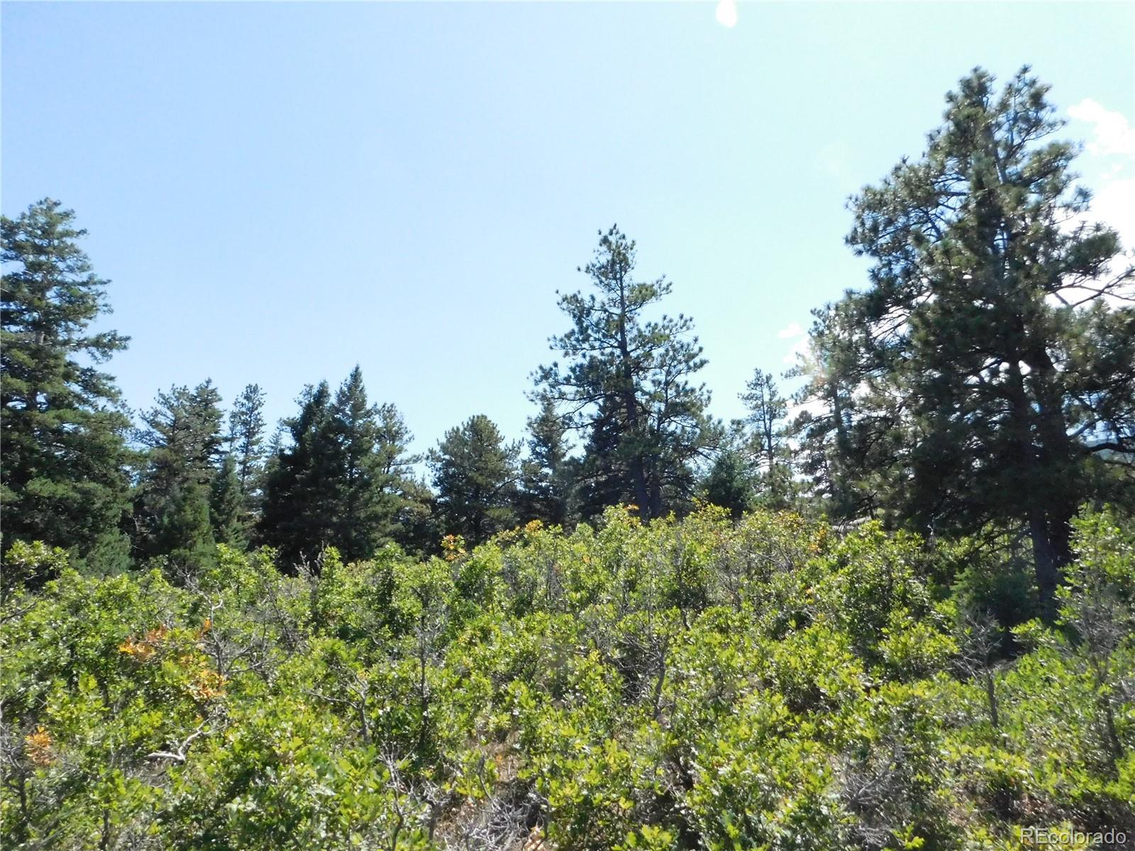 6344 Troon Court Larkspur CO 80118