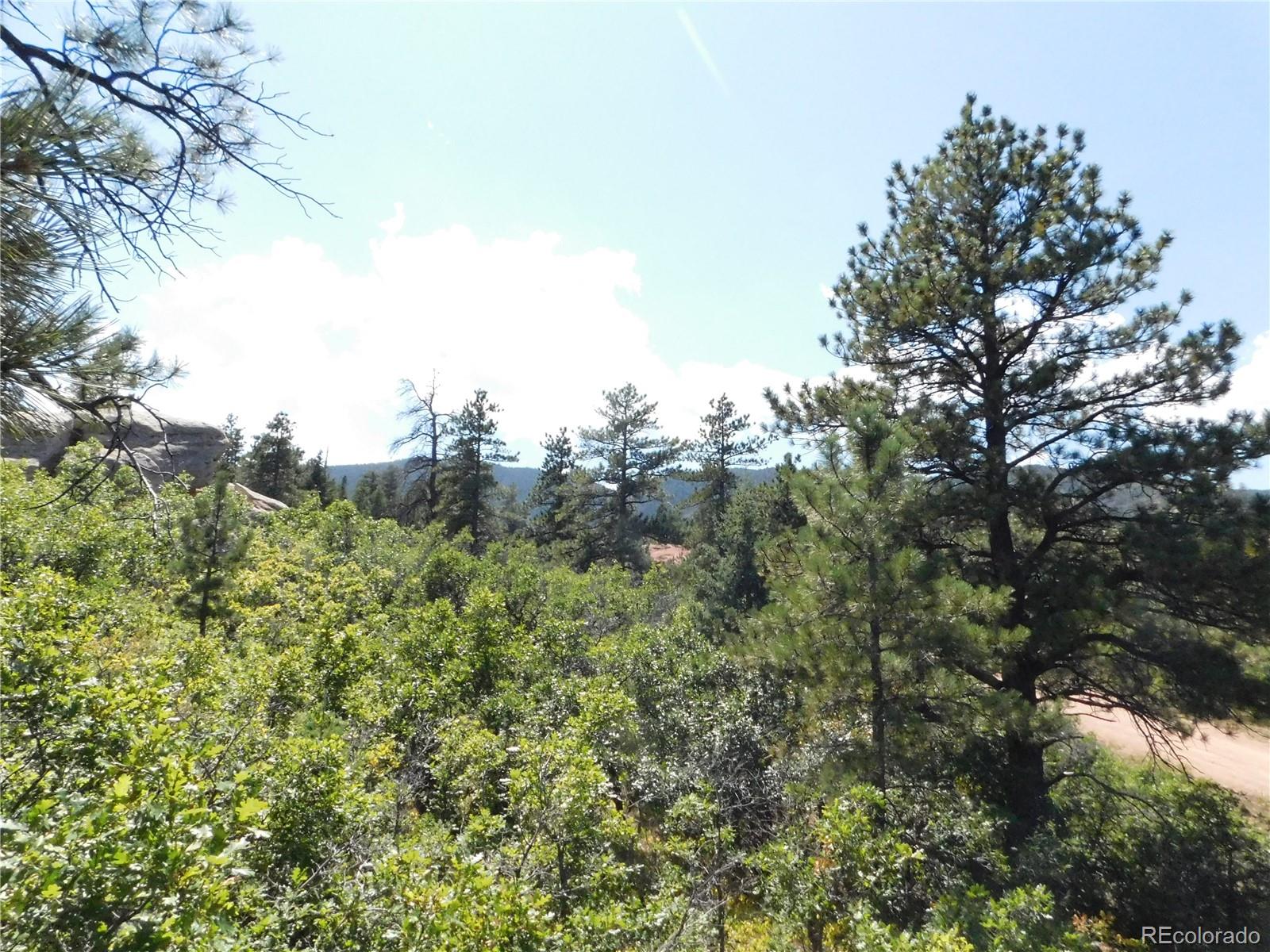 6344 Troon Court Larkspur CO 80118