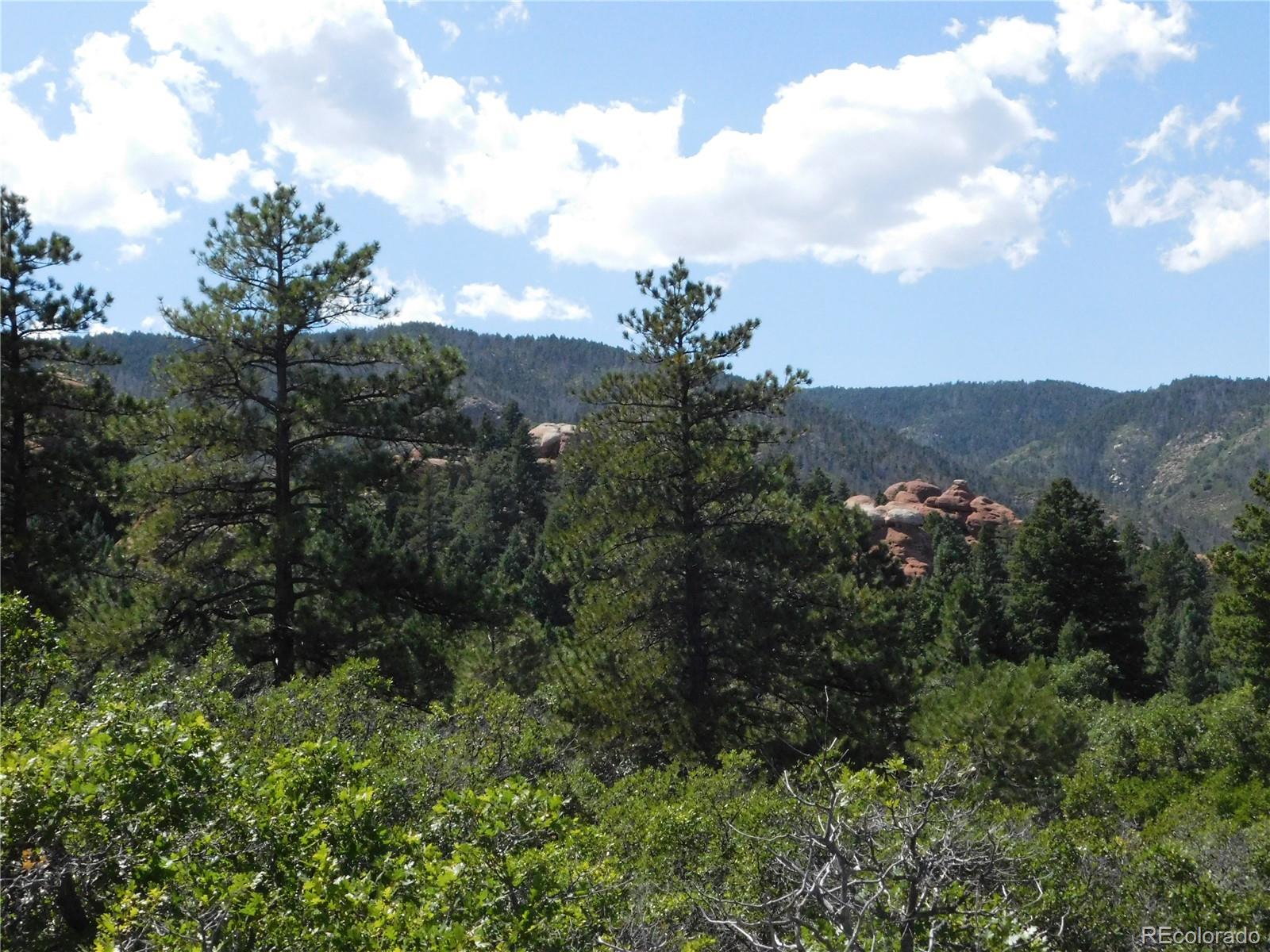6344 Troon Court Larkspur CO 80118