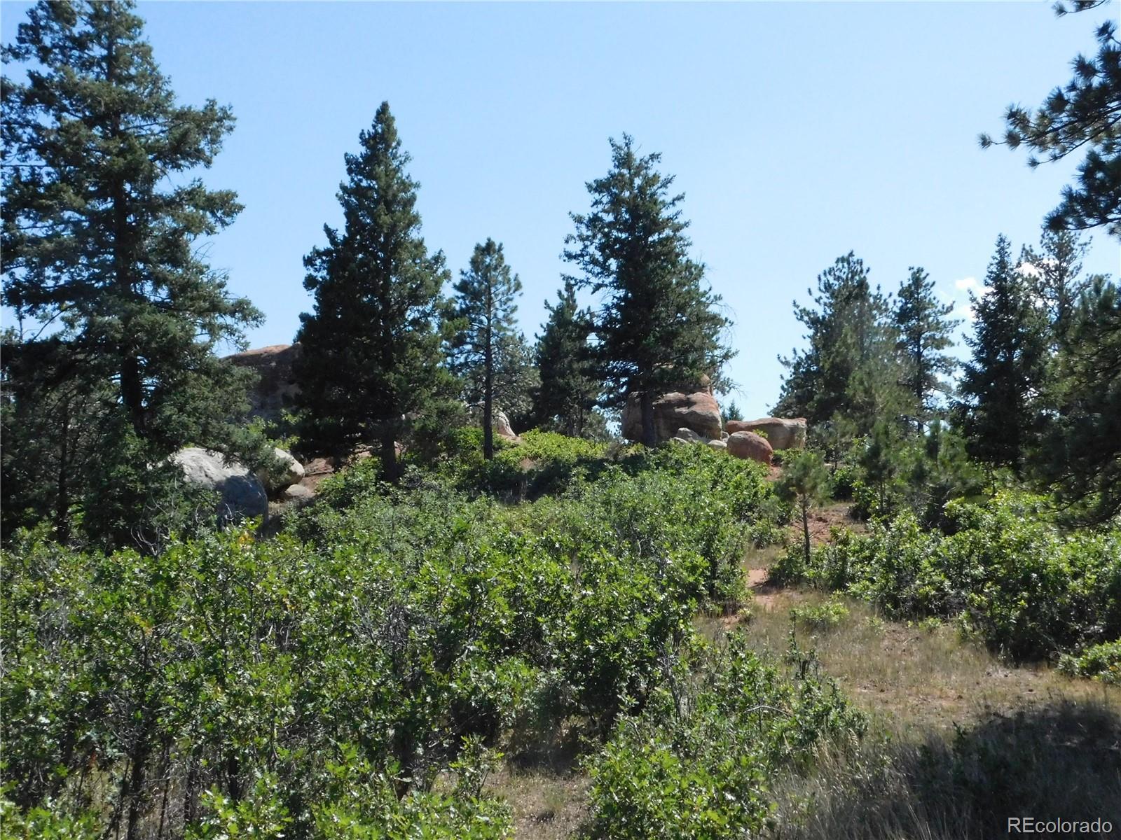 6344 Troon Court Larkspur CO 80118