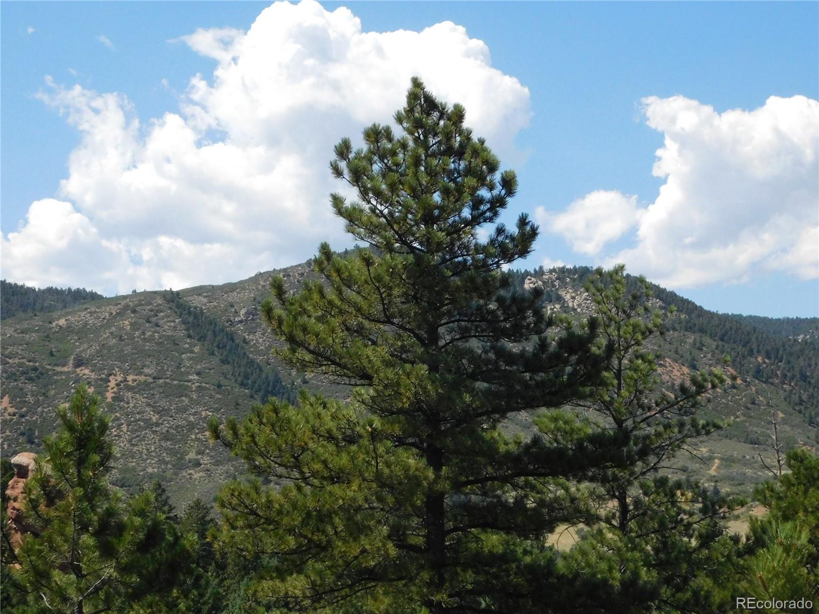 6344 Troon Court Larkspur CO 80118