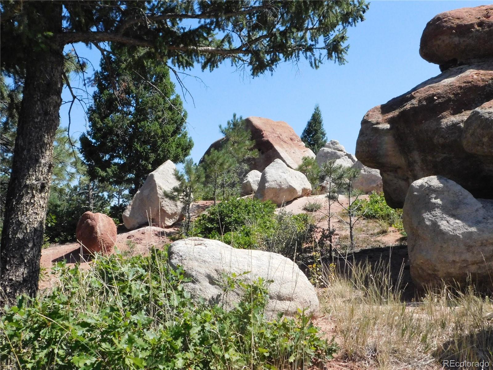 6344 Troon Court Larkspur CO 80118