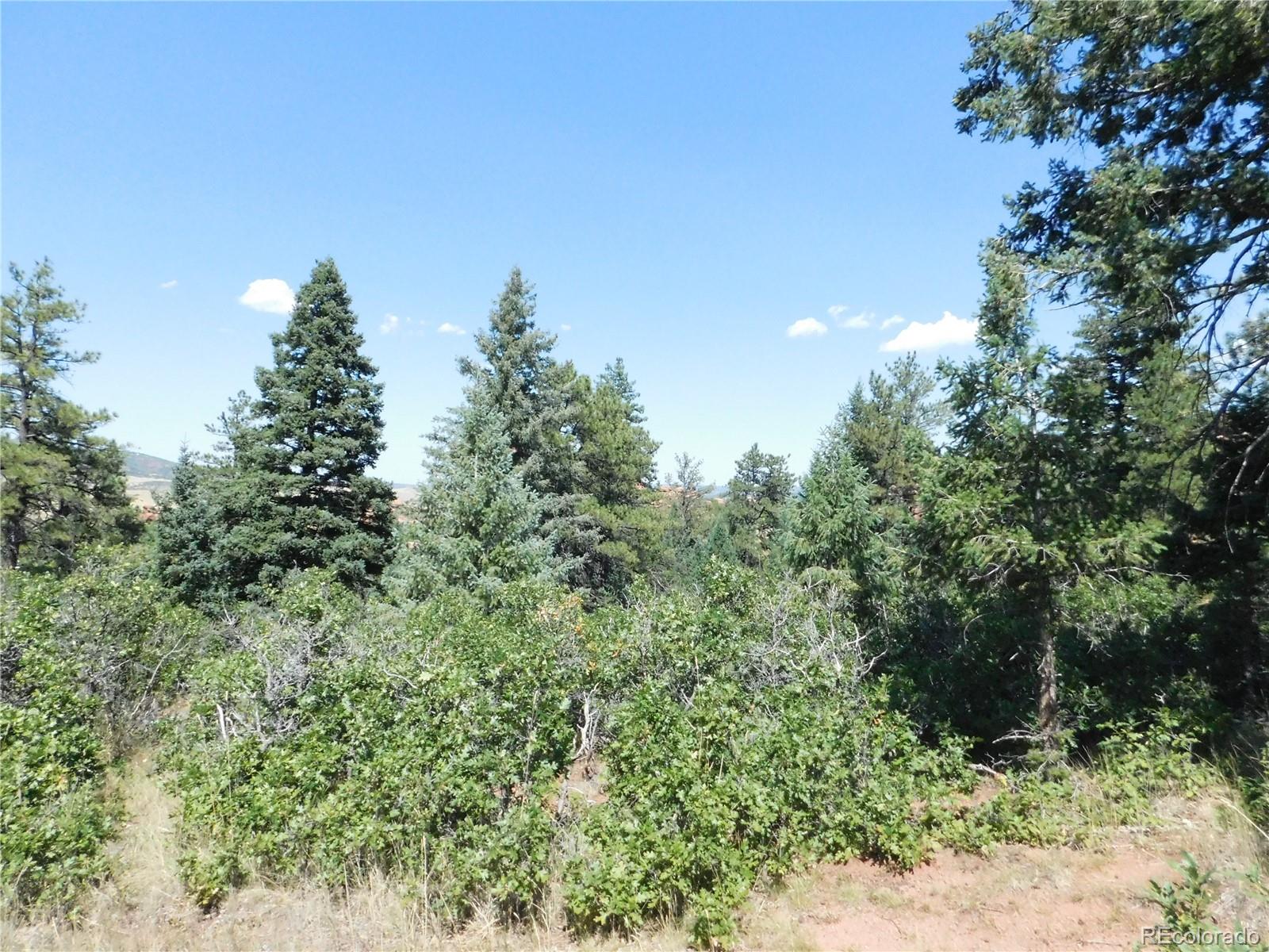 6344 Troon Court Larkspur CO 80118
