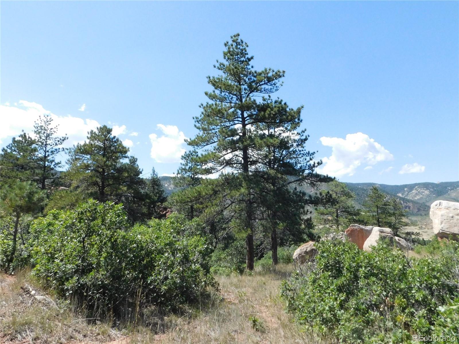 6344 Troon Court Larkspur CO 80118