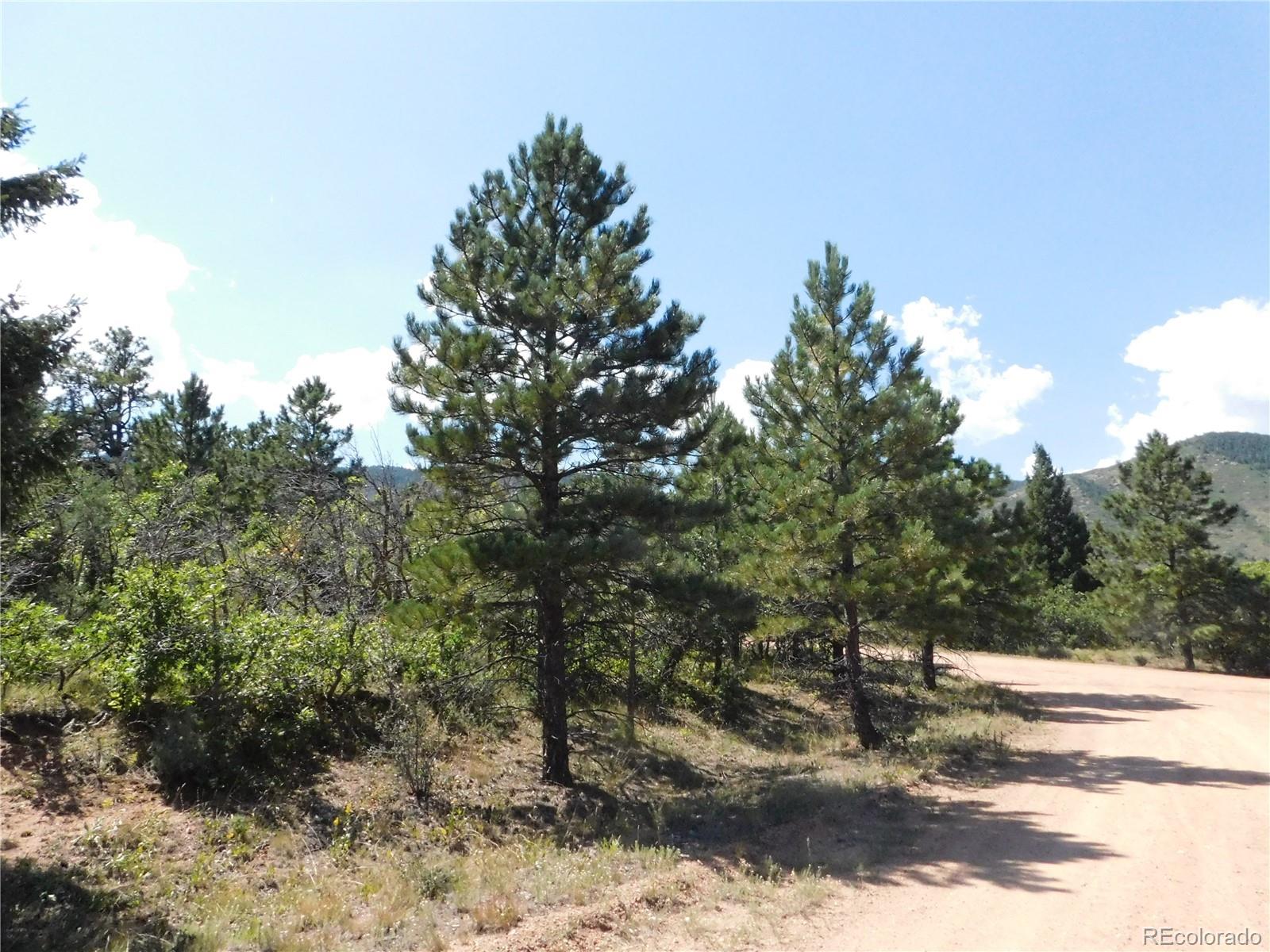 6344 Troon Court Larkspur CO 80118