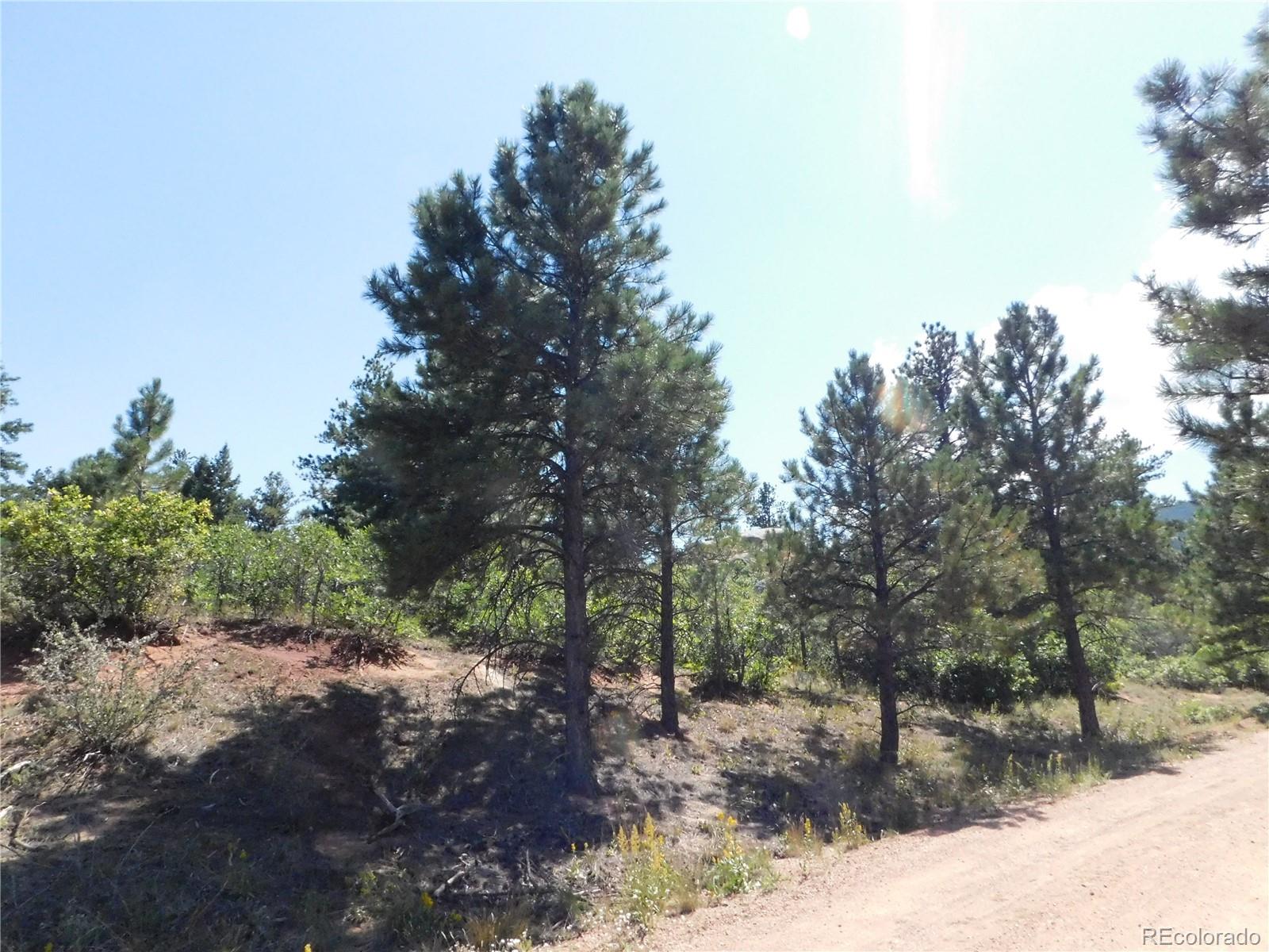 6344 Troon Court Larkspur CO 80118