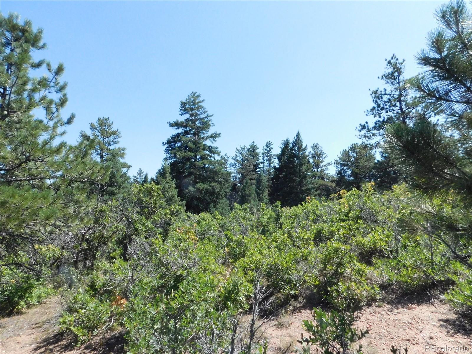 6344 Troon Court Larkspur CO 80118