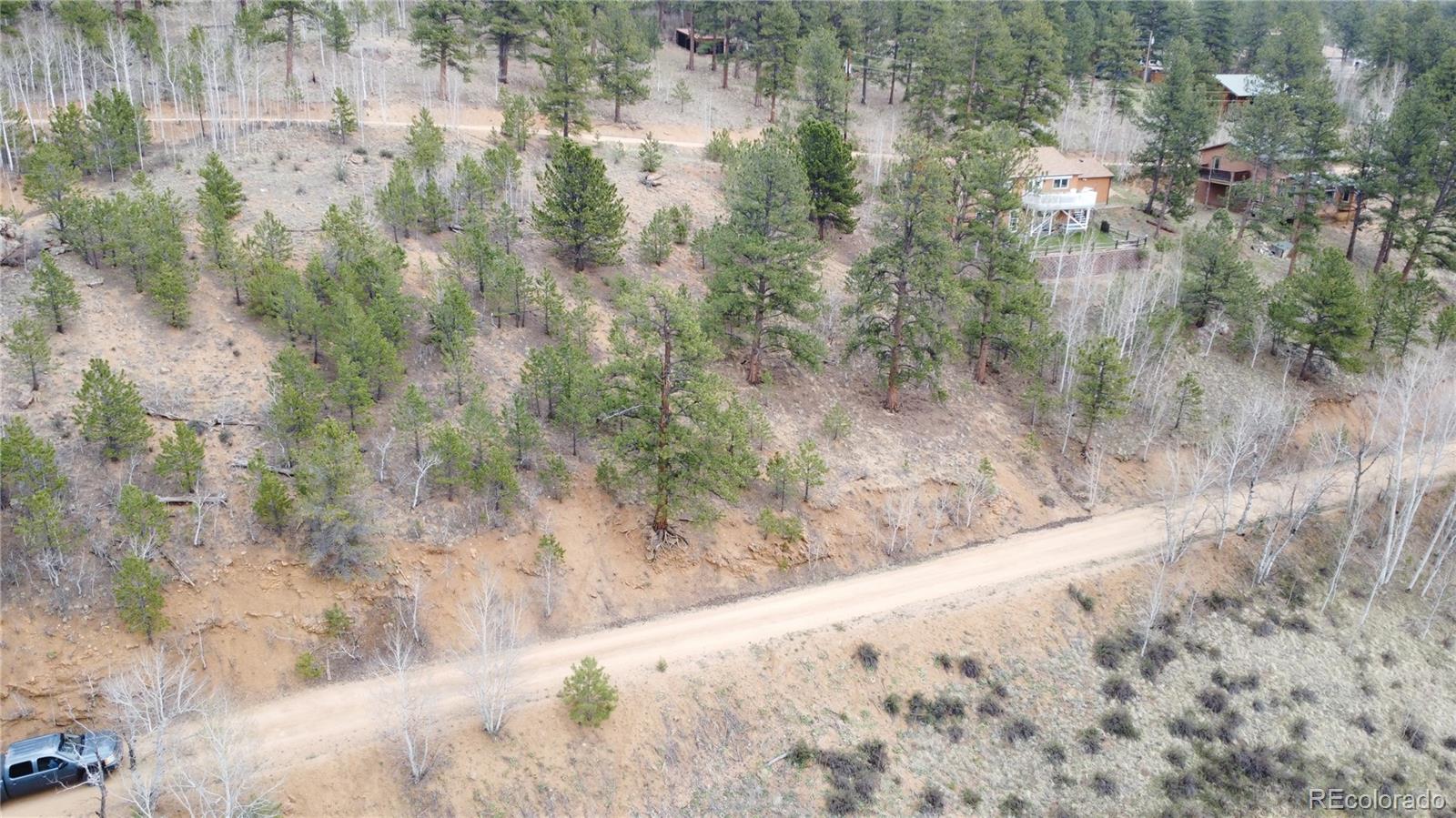 367 Neish Street Bailey CO 80421