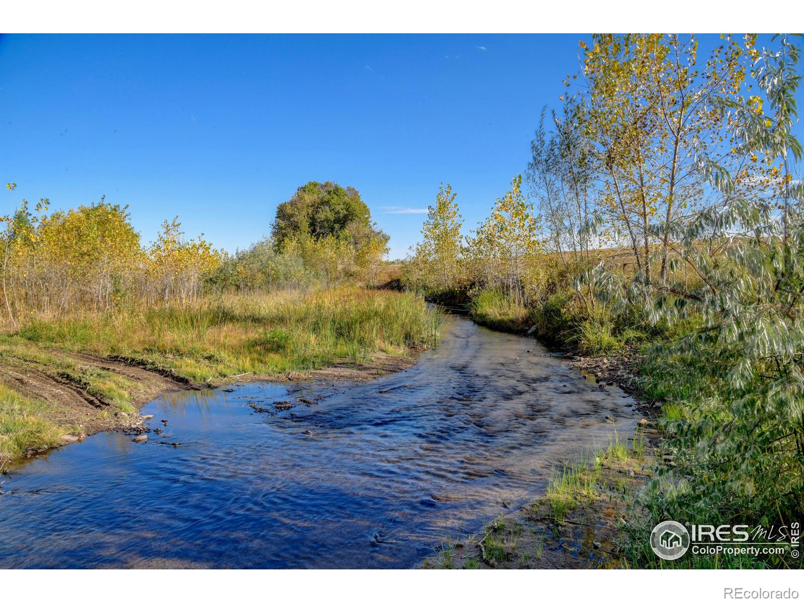 Rodney Lane Berthoud CO 80513