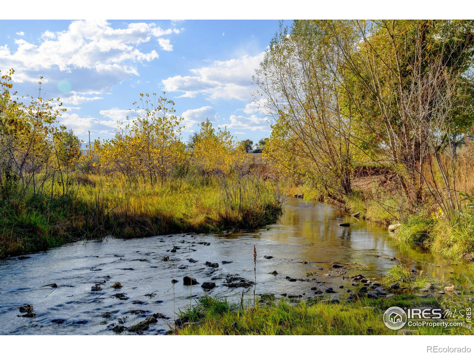 Rodney Lane Berthoud CO 80513