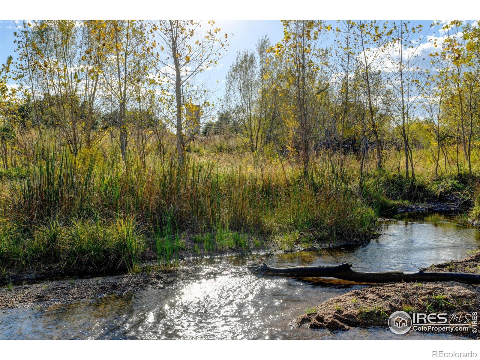 Rodney Lane Berthoud CO 80513