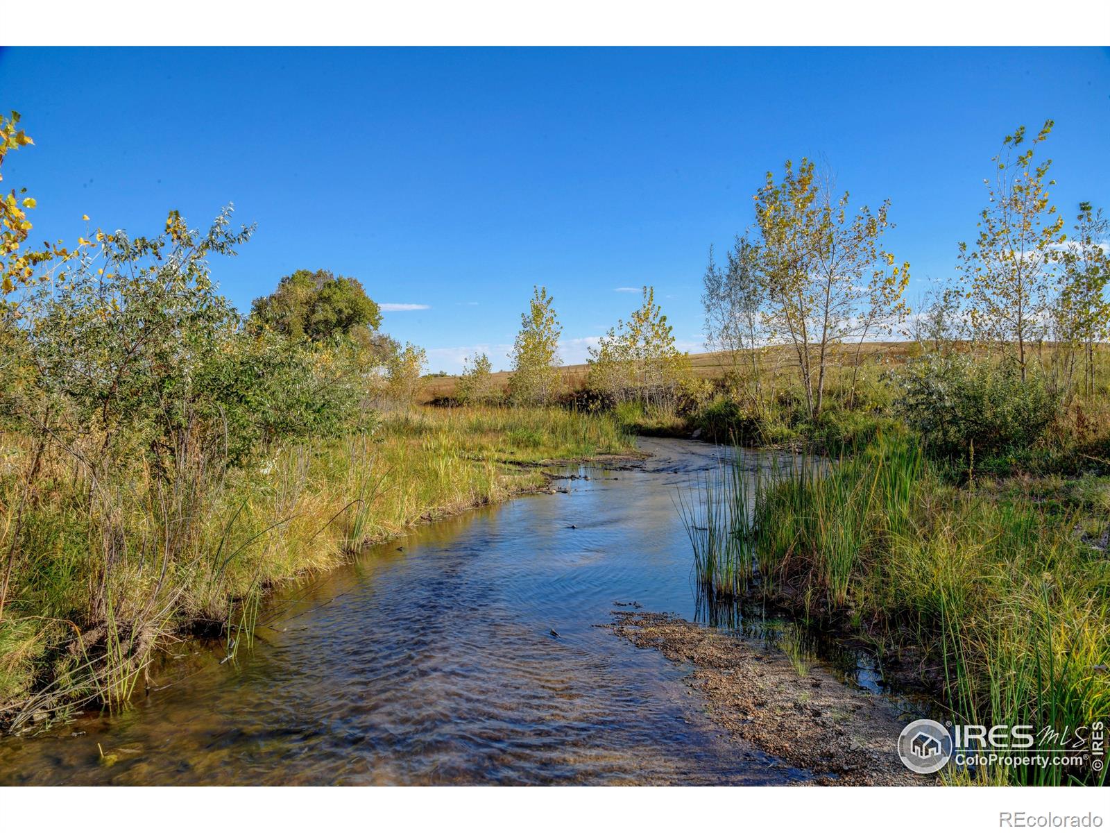 Rodney Lane Berthoud CO 80513