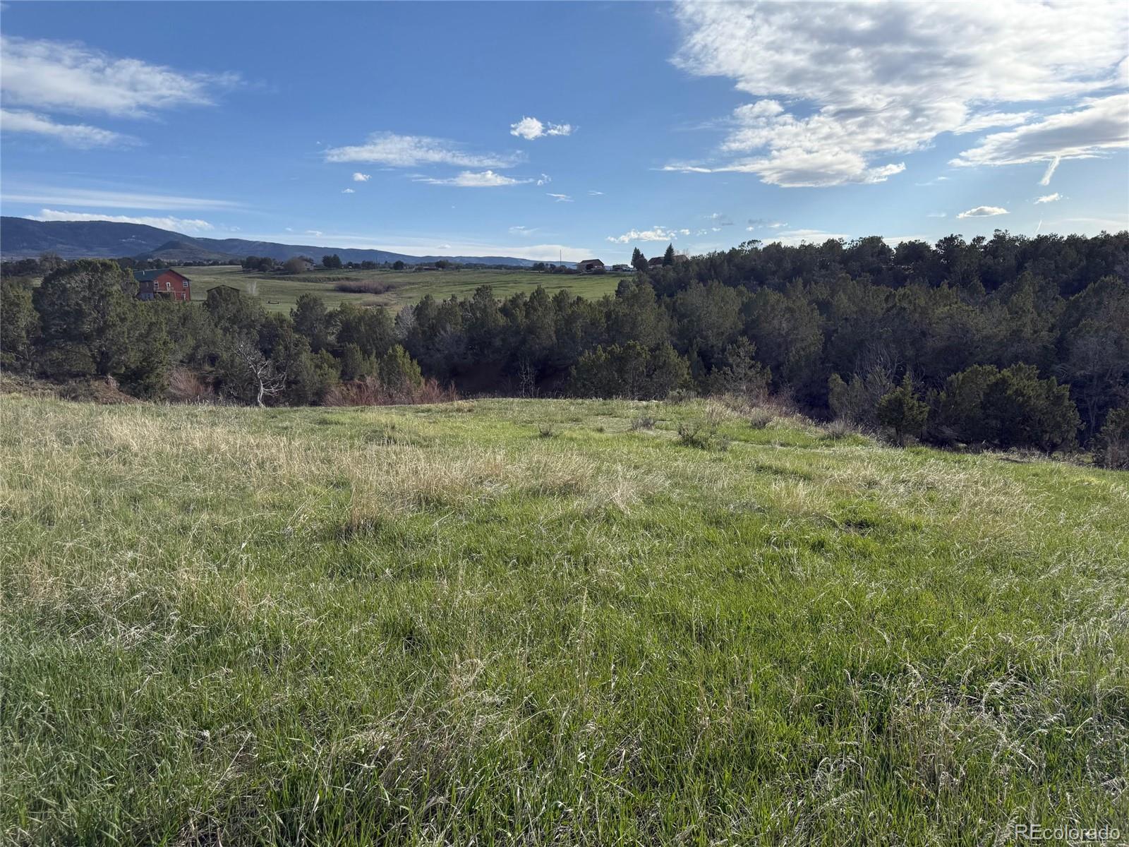 14495 N Scott Loop Collbran CO 81624