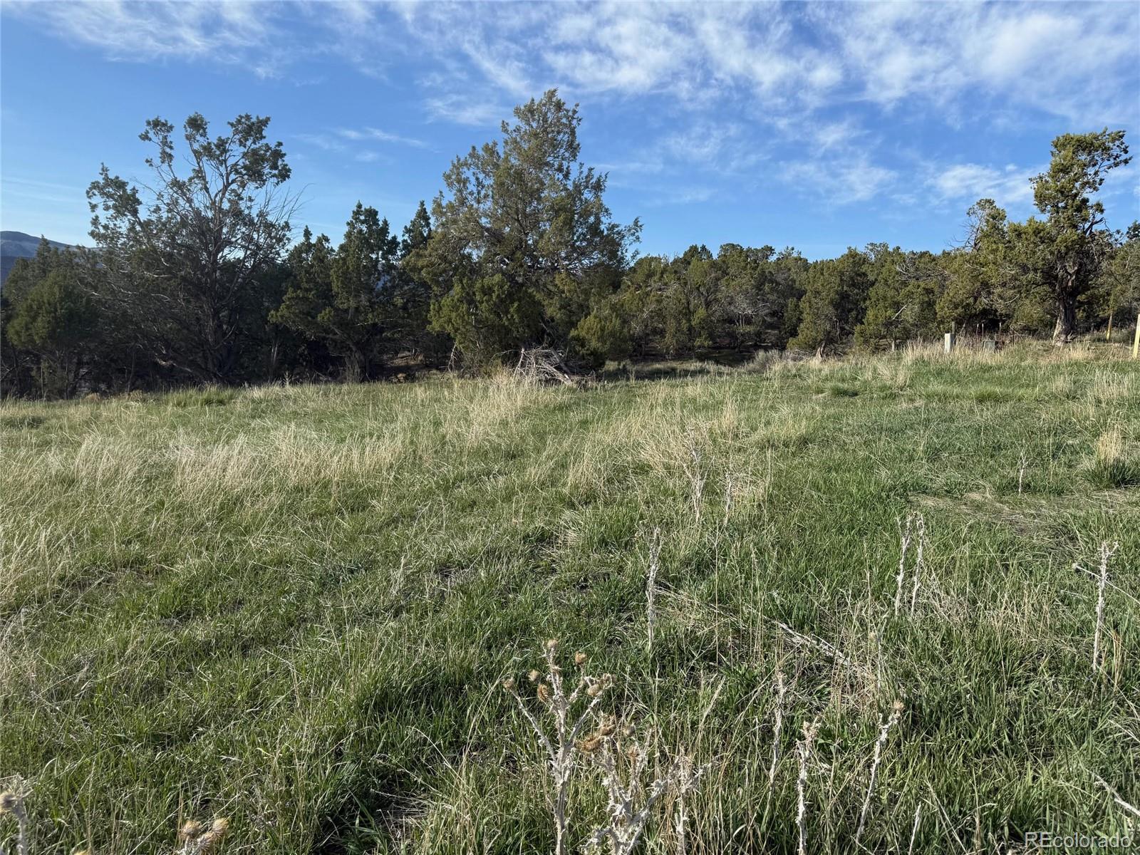 14495 N Scott Loop Collbran CO 81624