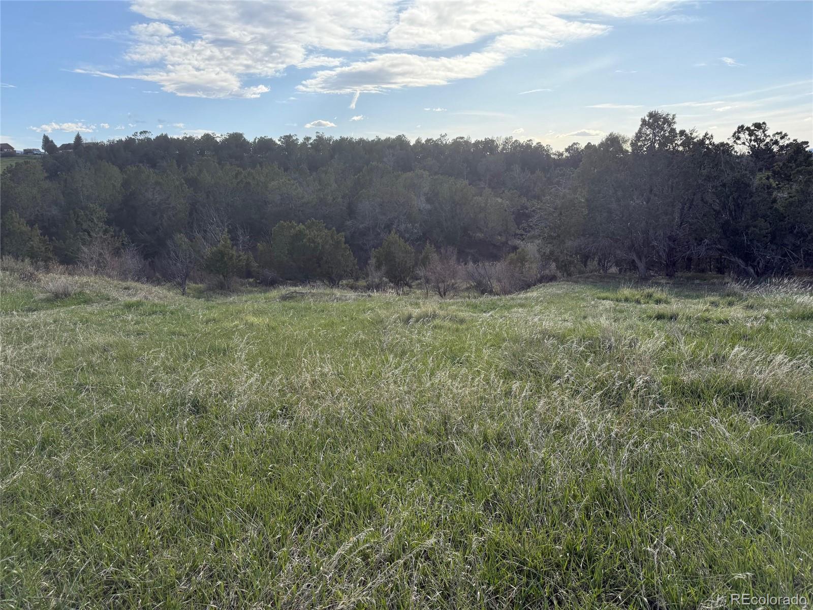 14495 N Scott Loop Collbran CO 81624