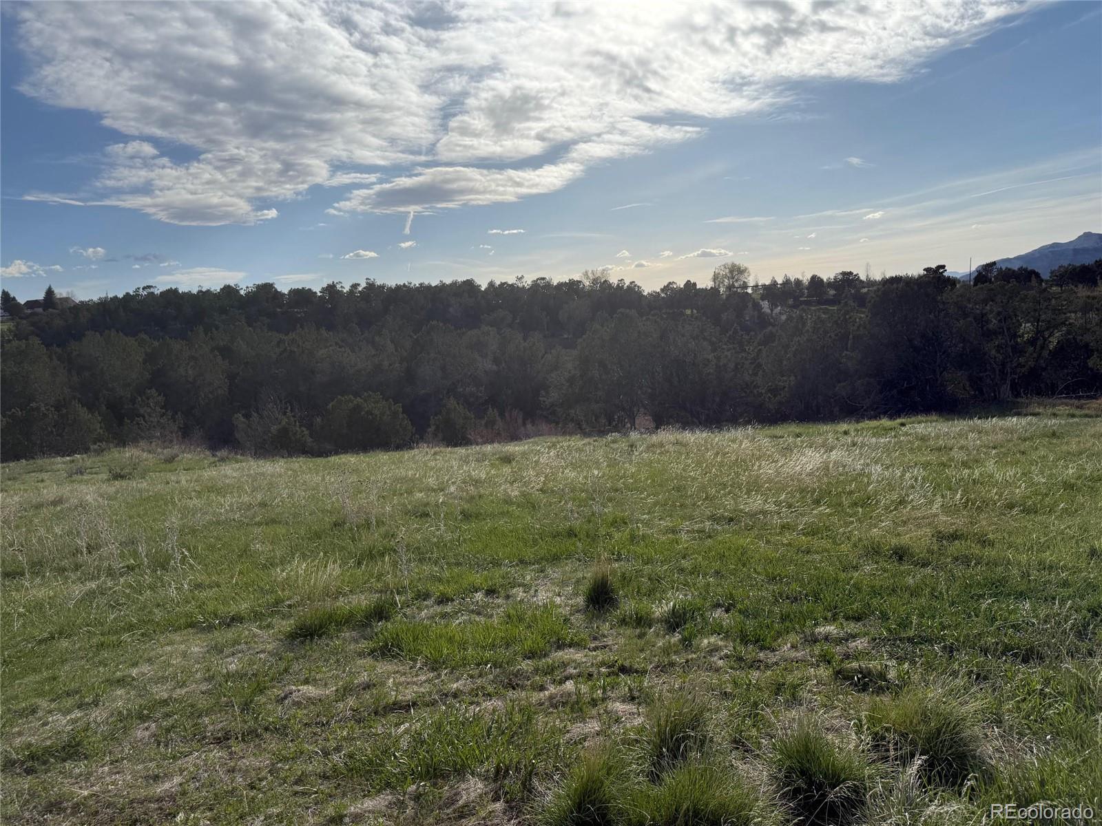 14495 N Scott Loop Collbran CO 81624