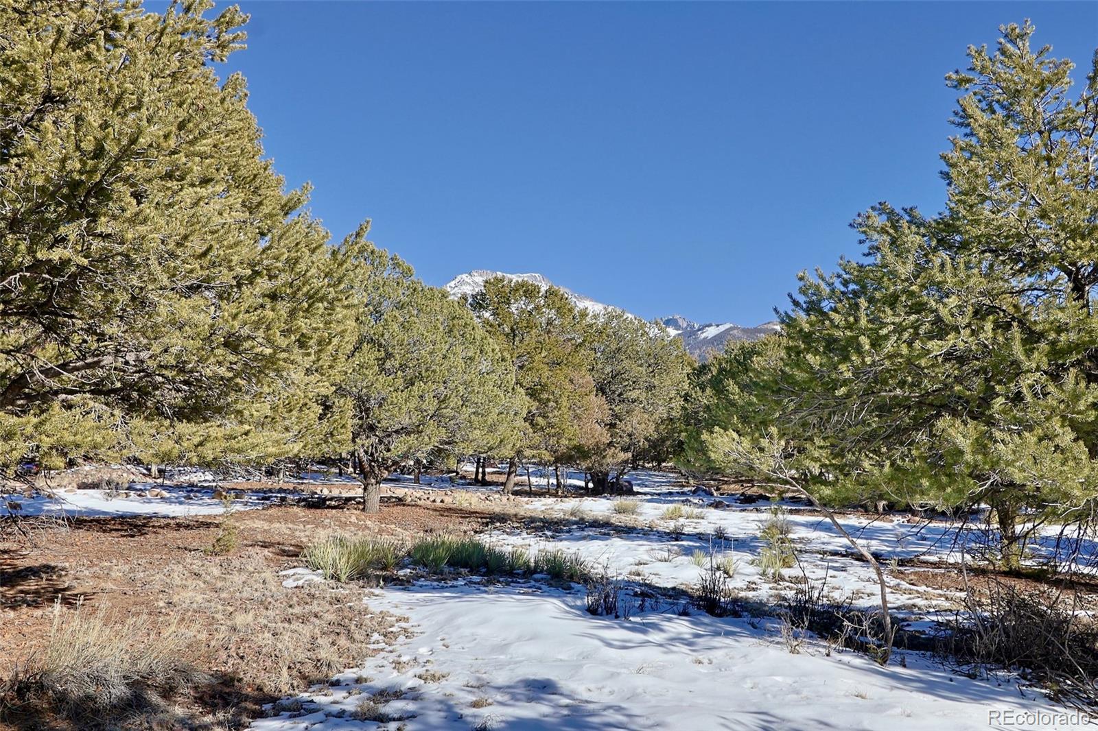 162 Moonlight Way Crestone CO 81131