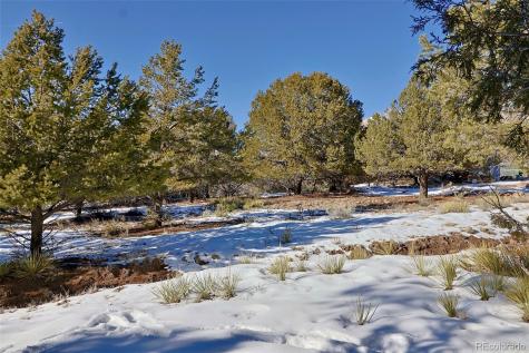 162 Moonlight Way Crestone CO 81131