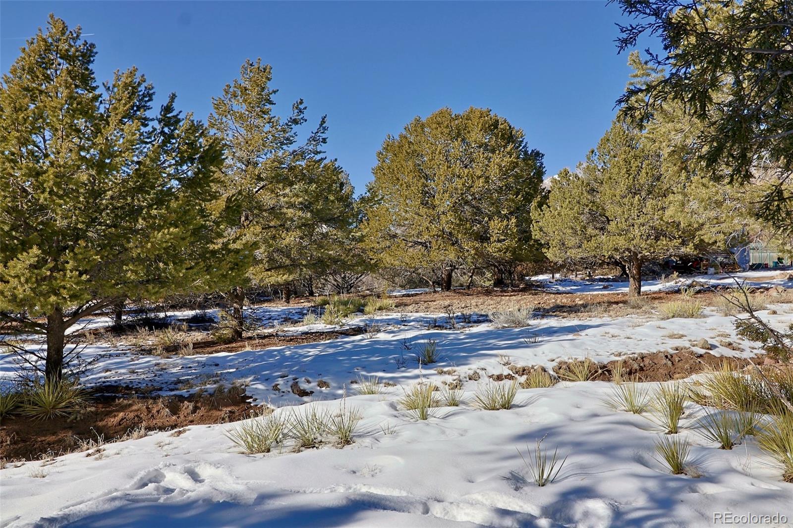 162 Moonlight Way Crestone CO 81131