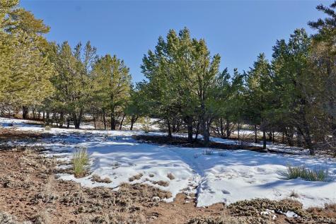 162 Moonlight Way Crestone CO 81131