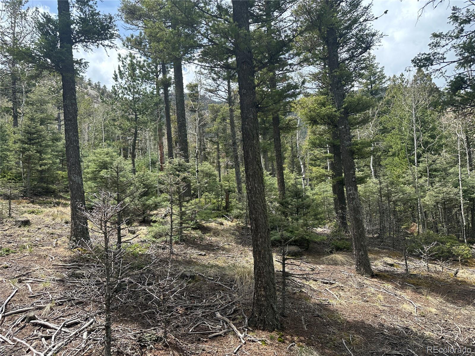 357 Big Horn Manitou Springs CO 80829