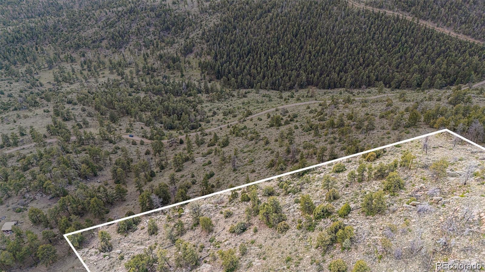 14336 Wamblee Trail Conifer CO 80433