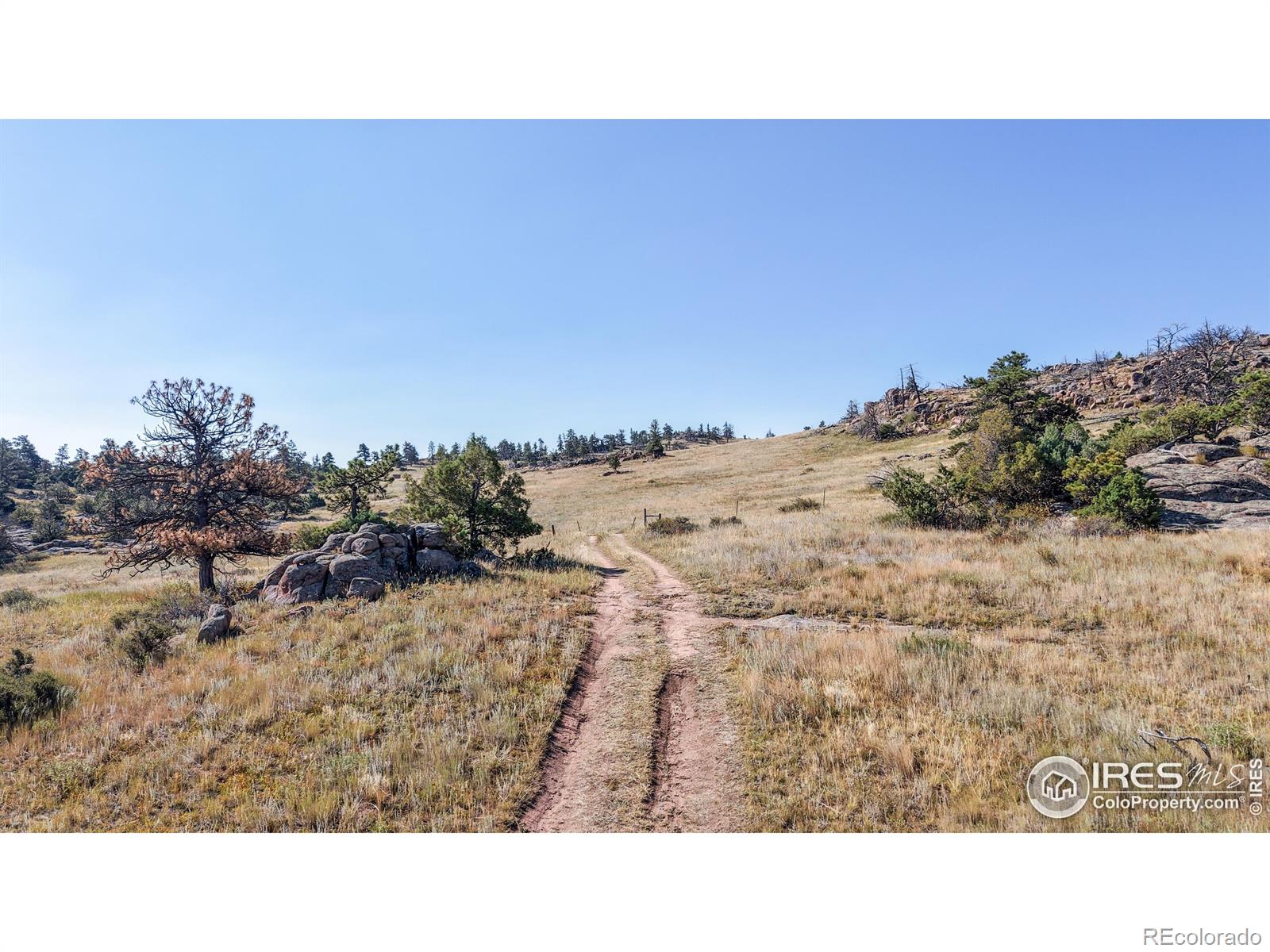 0 W County Road 82e Livermore CO 80536