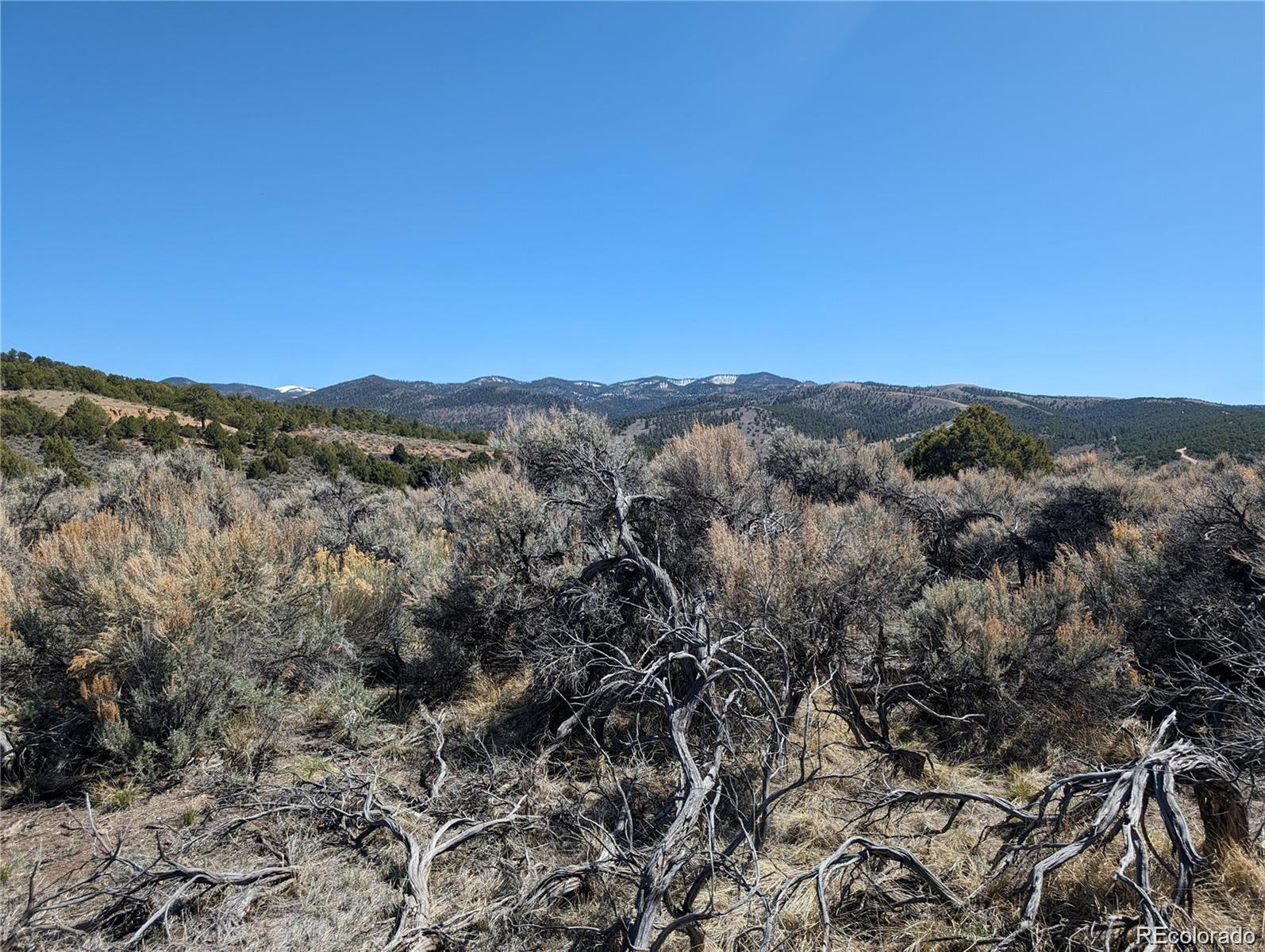 Lot 7504 Boseman Fort Garland CO 81133