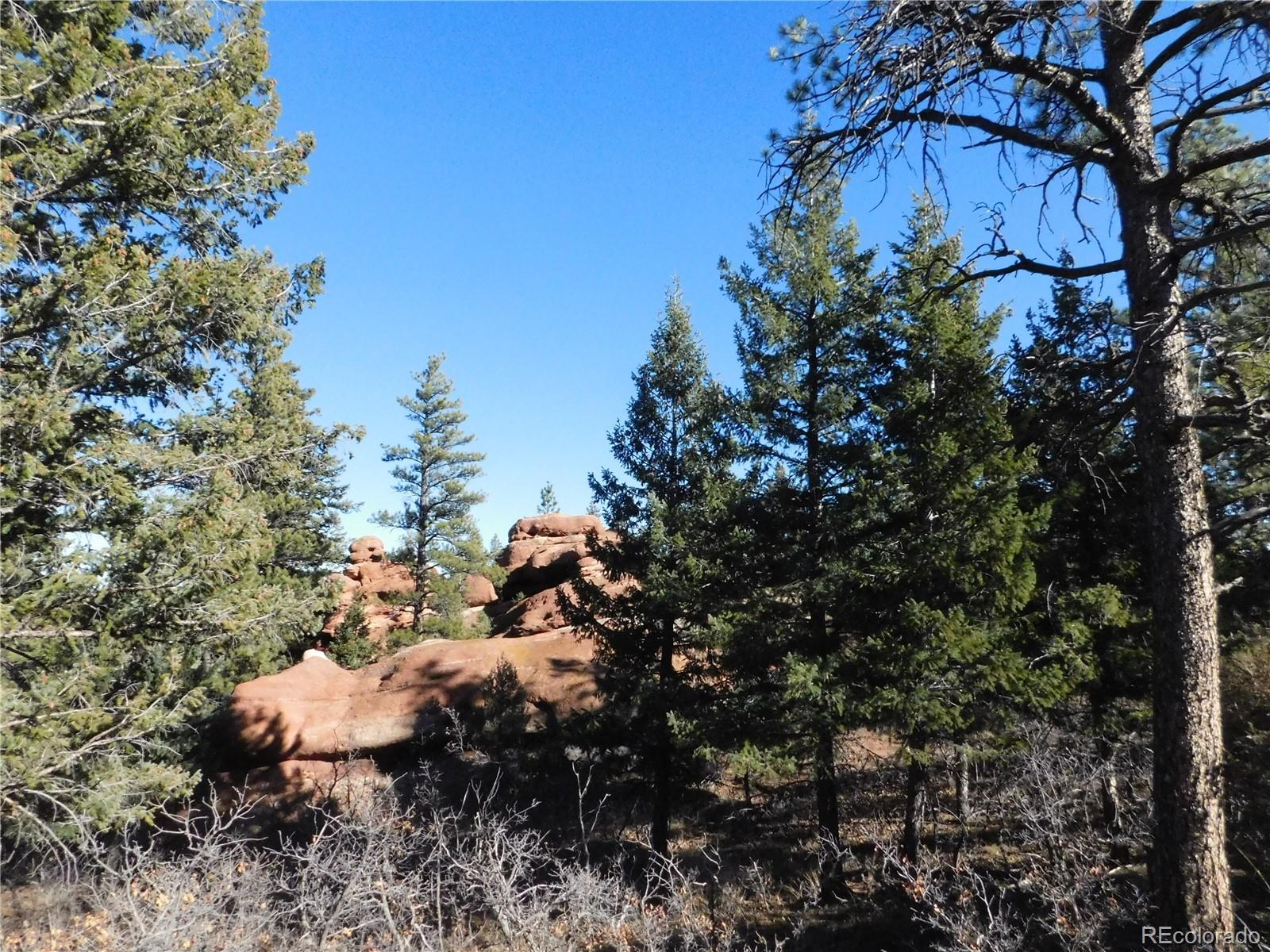 6294 Troon Court Larkspur CO 80118