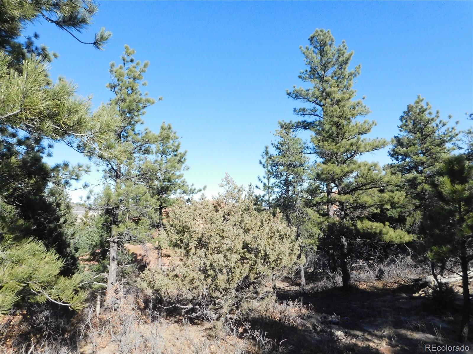 6294 Troon Court Larkspur CO 80118