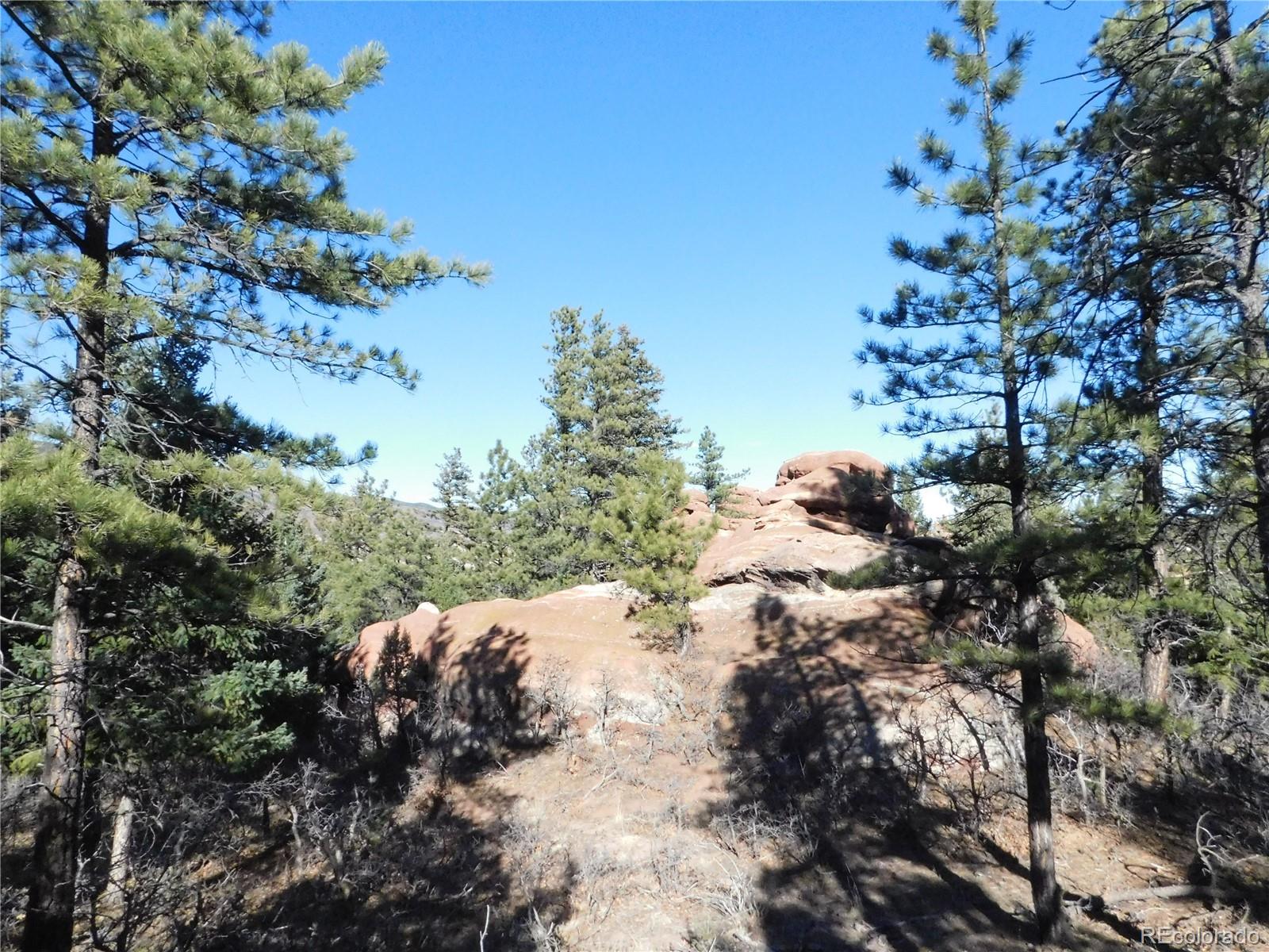 6294 Troon Court Larkspur CO 80118